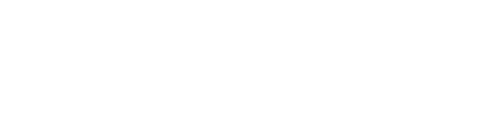 DentLeon